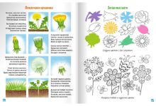 Photo of Сквош на снегу: смекалка и ловкость