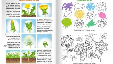 Photo of Сквош на снегу: смекалка и ловкость